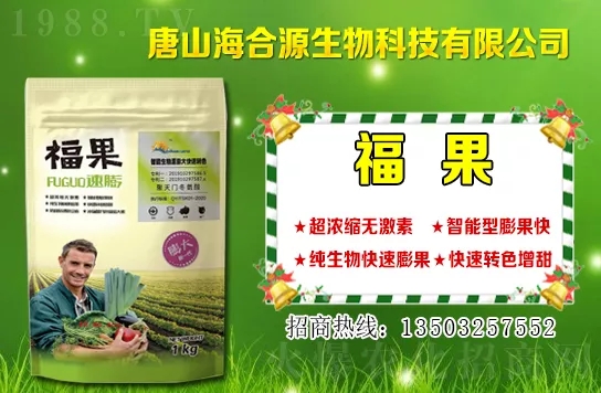 ĿǰС��?zh��n)�ُ�����Xһ����С���r(ji��)�����������