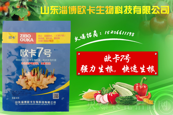 �󽪠����Ӳ���ʲô�����󽪠����Ӳ���ʲôˎ�÷���