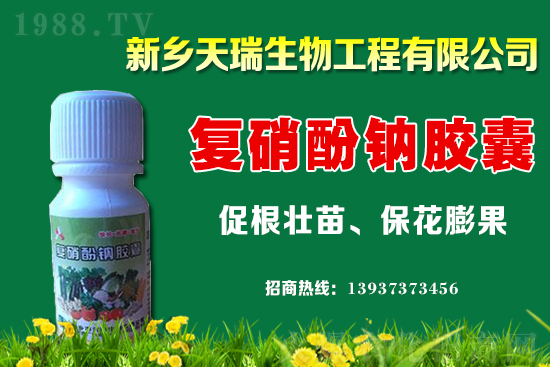 ���[һ�����ܮa(ch��n)���ٽ������[�r(ji��)�����ϝq��