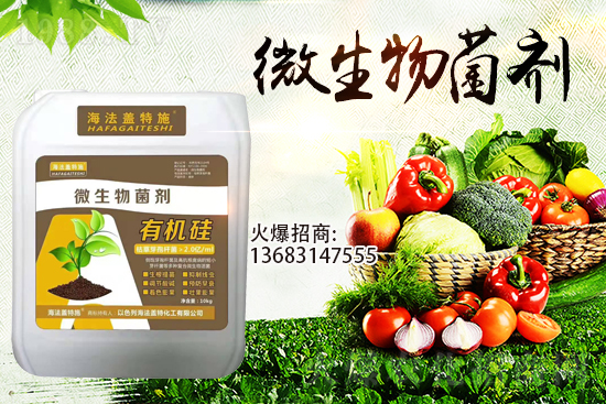 �������u��������m(x��)�͜�����������Ҫ�c��