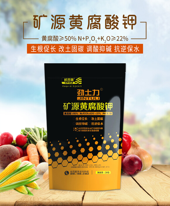 �VԴ�S�����-������-�A�S����_01