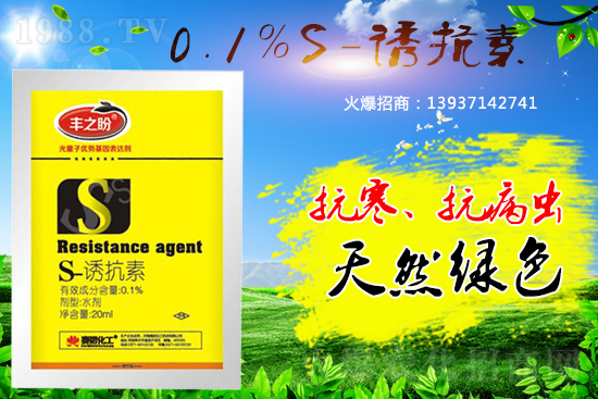 �P��ֲ���{����S-�T���������˽���٣�