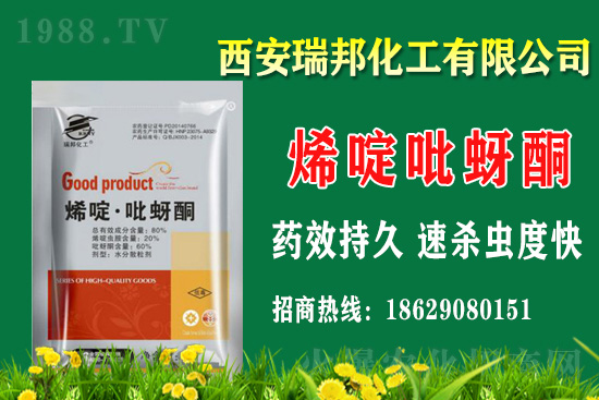 ���x���r(n��ng)ˎ�r(ji��)��һ�[��2021.01.01