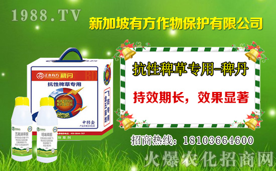 Ȳ�������݄��r(ji��)���߄�(sh��)2021.01.01