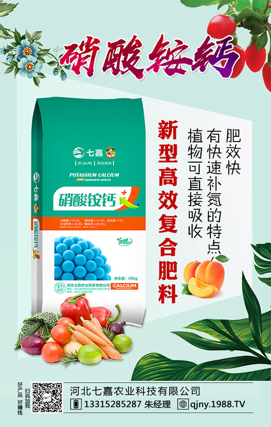 ��������������ע����Щ���(xi��ng)�������Nֲ���༼�g(sh��)��