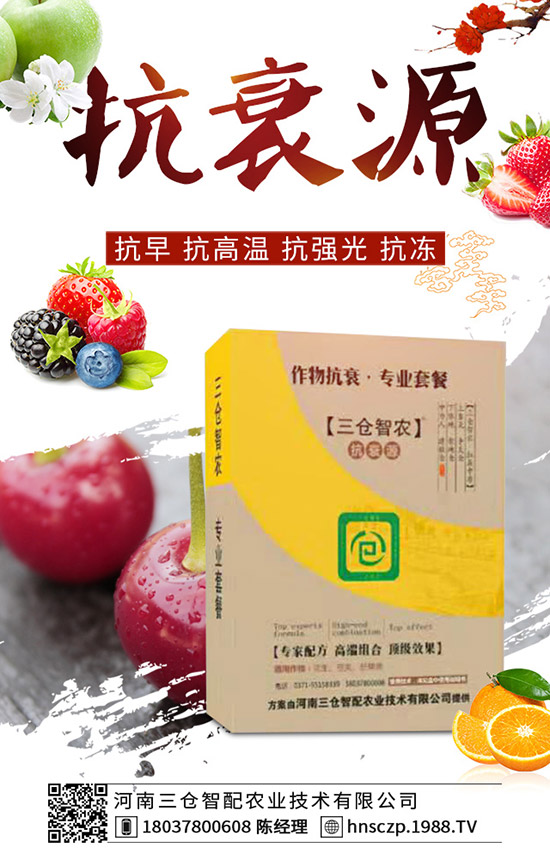 ���·��m�ϷNֲʲô�߲������·��߲˷Nֲע�����(xi��ng)��