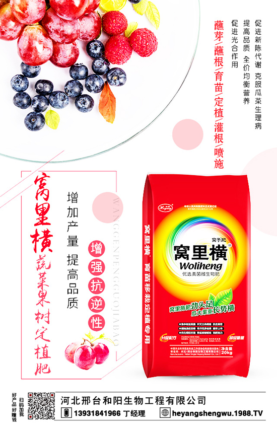 ���t�������Ҏ(gu��)����ʲô����