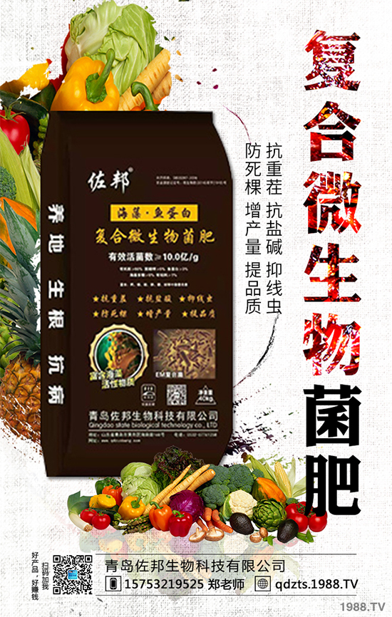 ɽ���m��ʲô�r(sh��)��Nֲ��ɽ��ֳ��������Щ��