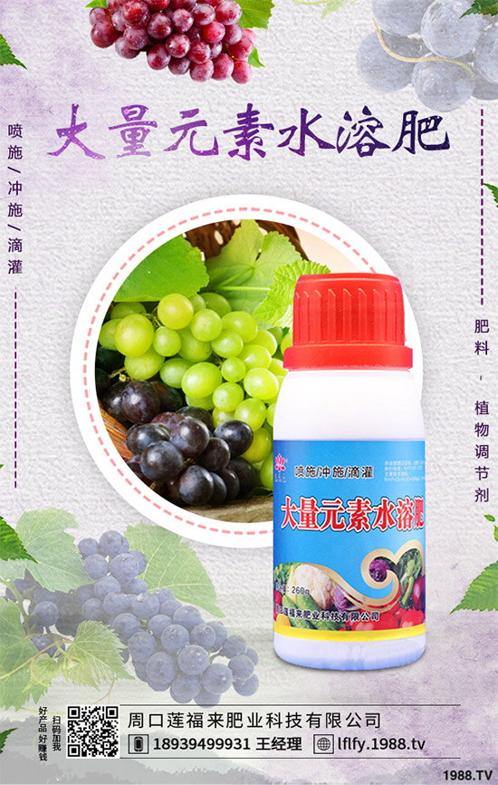 蠶豆該怎么種?蠶豆的種植技術(shù)及病害防治要點