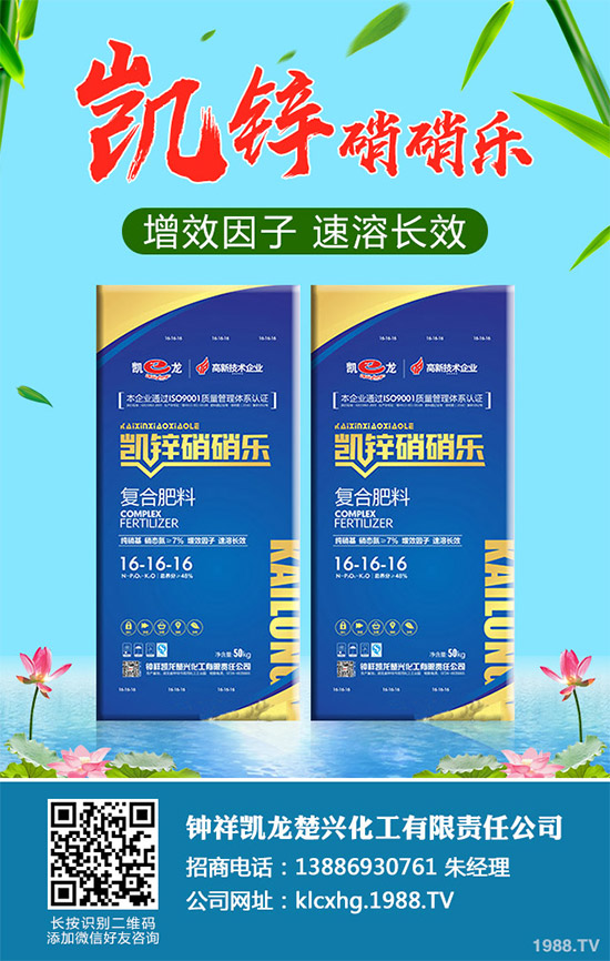 蠶豆該怎么種?蠶豆的種植技術(shù)及病害防治要點