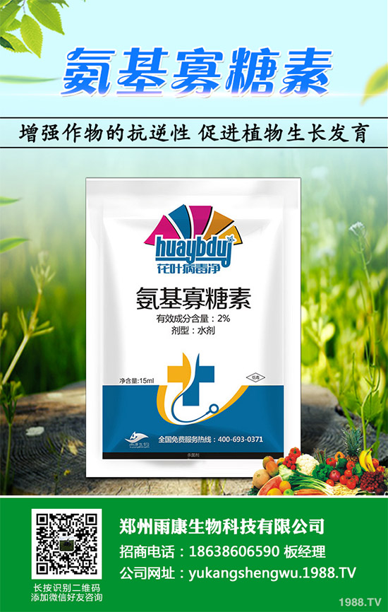 蠶豆該怎么種?蠶豆的種植技術(shù)及病害防治要點