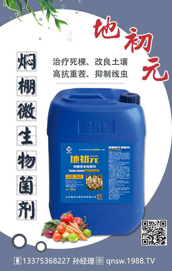 ɽ�|���r����Ƽ����޹�˾2