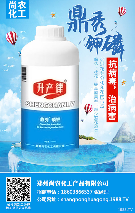     ���{(l��n)���Y(ji��)����ô�k�����{(l��n)���Y(ji��)��ԭ�򼰷��δ�ʩ��