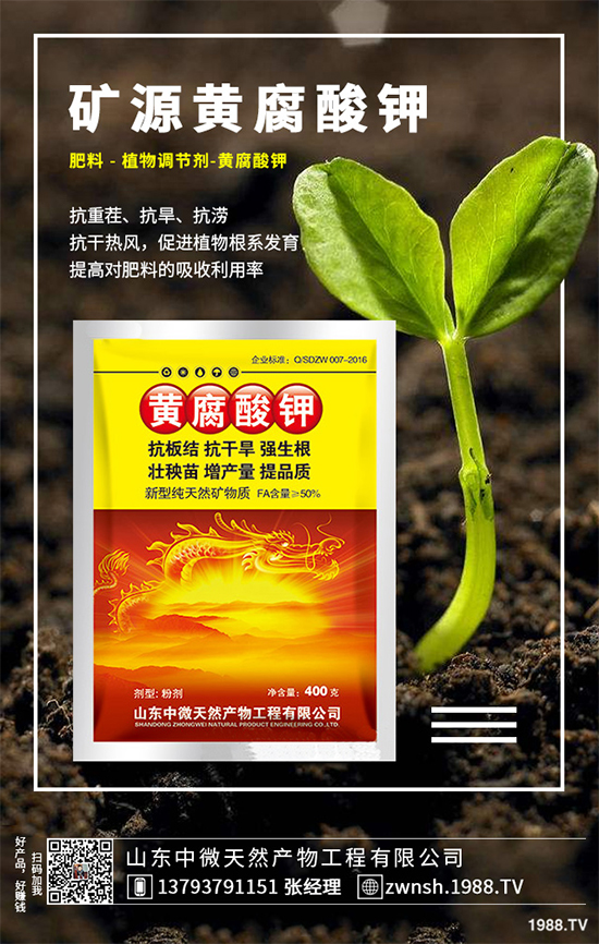 ������ԓ��η�ֳ�������ǵķ�ֳ���g(sh��)�������