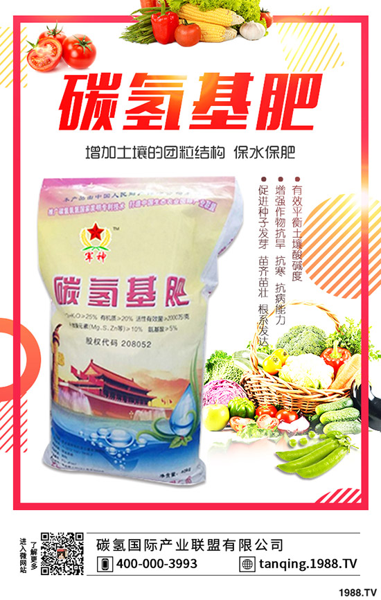 �軨�辰���ʩ�����軨�辰��ʩ�ʼ�������Щ