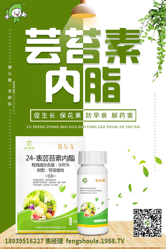 �������ô�޽�����ϼ޽Ӹ߮a(ch��n)�Nֲ���g��