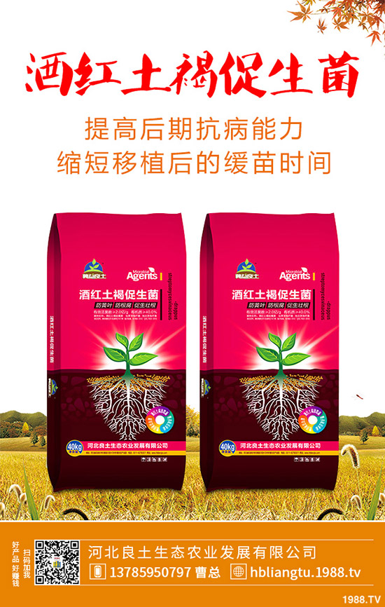 �{��ʲô�r(sh��)��Nֲ�^�����{�˵ķNֲ���g(sh��)�c���g����