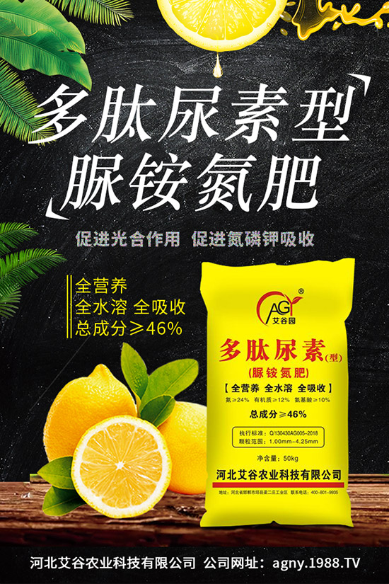 �ļ����NֲҪ�c(di��n)���ļ������缼�g(sh��)�����ڹ���