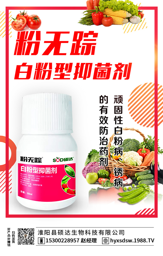 ������ô�Nֲ�������Nֲ���g(sh��)Ҫ�c(di��n)��