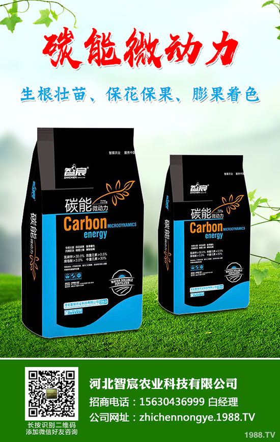 5�����׷��Ј���ȥ�Ώ�������һ�@���@�r�������߄��A�y��