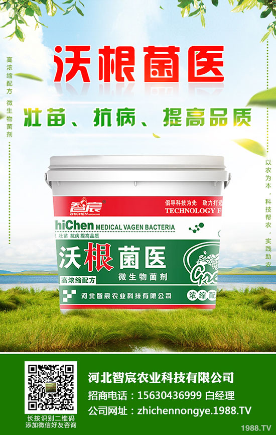 ⛷ʃr(ji��)�����wƫ���\(y��n)��������⛷��������2020-5-15��