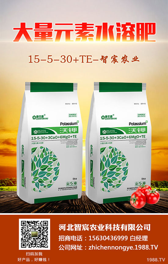 2020��5��15�ս���������(n��i)��(f��)�Ϸʃr(ji��)���߄ݼ��������u(p��ng)