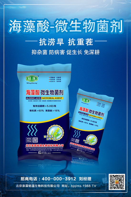     ����ֻ�_�����Y����ʲôԭ�򣿰���������Ľ�Q��ʩ��