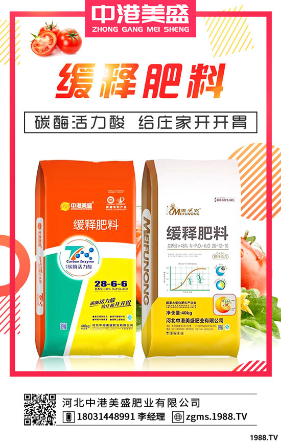 ����Nֲ��ÿ����ի@���Nֲ���һ���ж���������