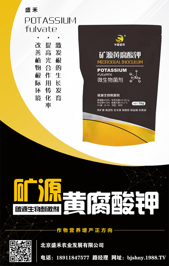     ����⛷�(w��n)���\����2020.05.16⛷ʃr�������߄ݷ�����