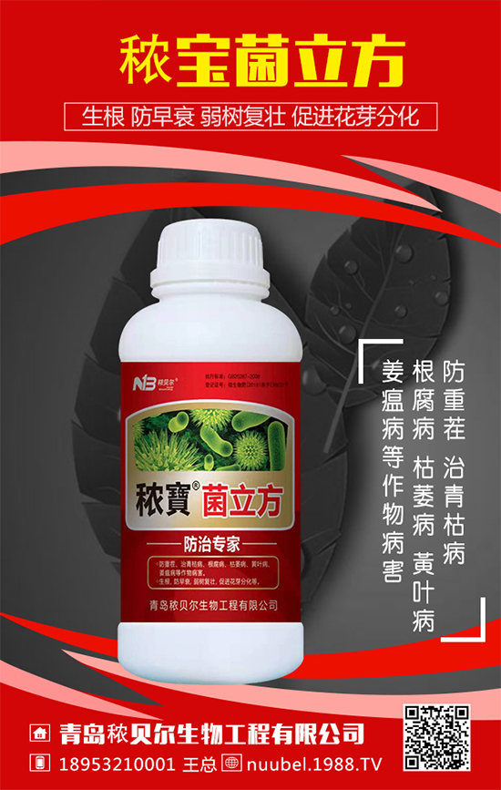 ���J��ô���N���������J�Ĳ��N���������L�^����