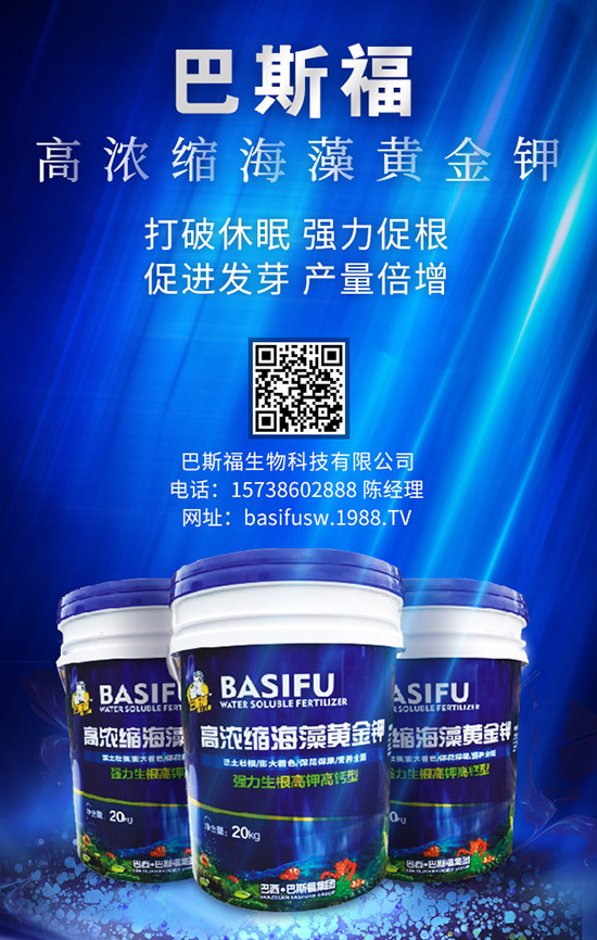 玉米施肥的更佳時間是啥時候? 咋樣施效果好?