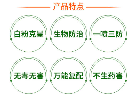 硫磺懸浮液體替代品-戰(zhàn)粉·硫-強農(nóng)生物_04