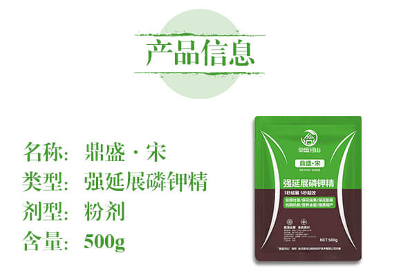 ����չ��⛾�-��ʢ��ɽ_02