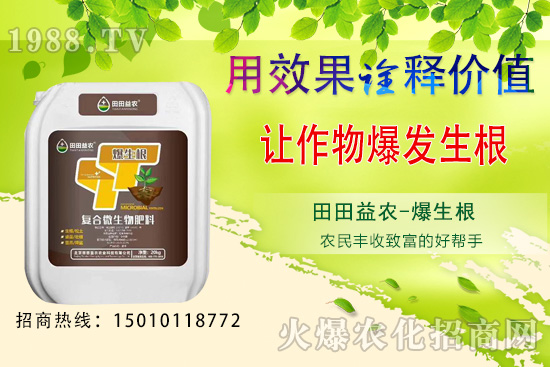 ���¿��ԷNֲ���߲�����Щ�����·N�߲˹���Ҫ�c��