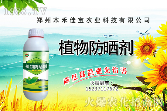 ѿ��˷Nֲǰ����ô����ѿ��˷Nֲ���g(sh��)����Щ��