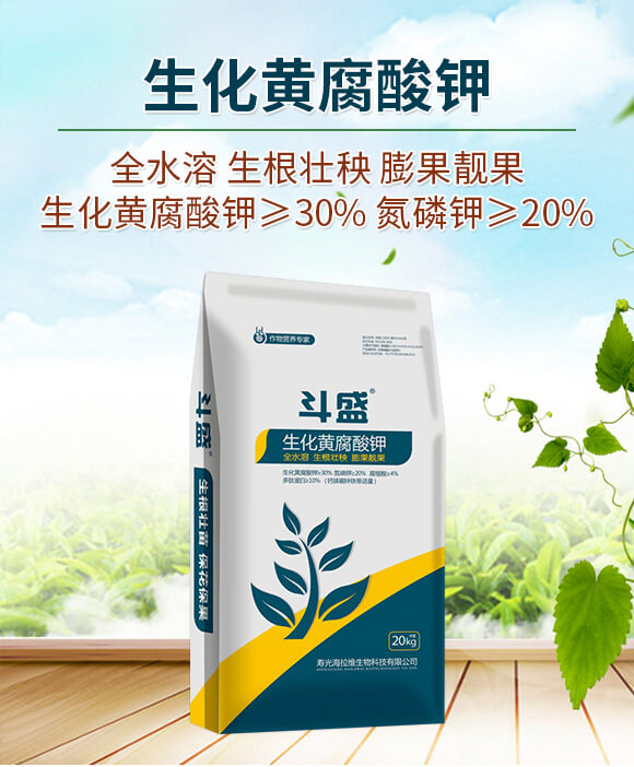 �����S�����-��ʢ-�����S_01