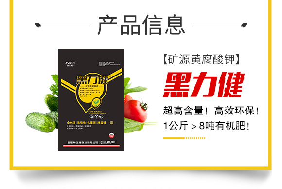 �W˹�D����Ƽ����޹�˾_03