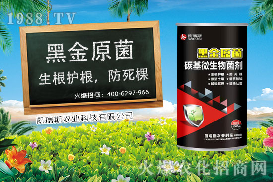     ����ʲô�r(sh��)����������׵��ի@�r(sh��)�ڣ����׵ĠI�B(y��ng)�r(ji��)ֵ��