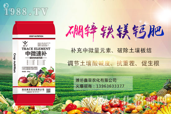 ���׃r(ji��)��