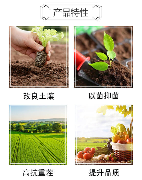 含菌復(fù)合肥-中農(nóng)肥業(yè)_03