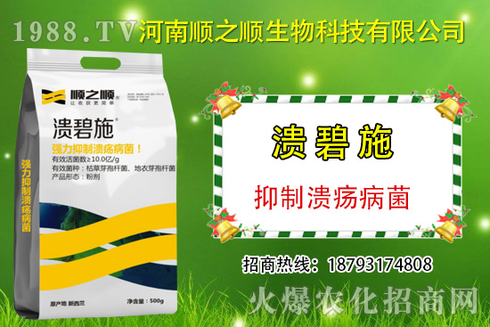 柑橘潰瘍病危害一年比一年嚴(yán)重,柑橘潰瘍病如何防控?