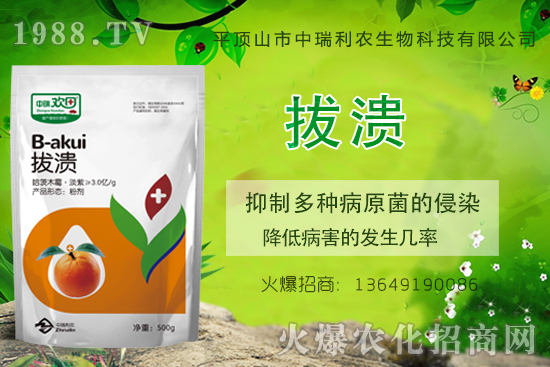 柑橘潰瘍病危害一年比一年嚴(yán)重,柑橘潰瘍病如何防控?