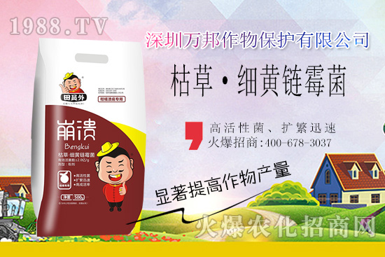 柑橘潰瘍病危害一年比一年嚴(yán)重,柑橘潰瘍病如何防控?