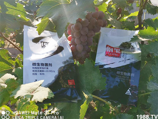 好產(chǎn)品好作用，“一璽生物”微生物菌劑“幗璽”客戶真實反饋！