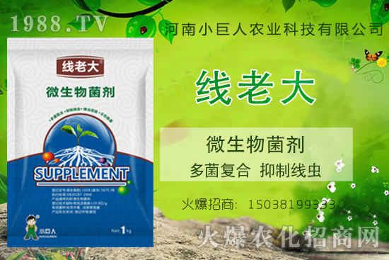 ���Y(ji��)���xզ���Σ����Y(ji��)���x����-�����ϴ󡱶����(f��)�������ƾ��x��