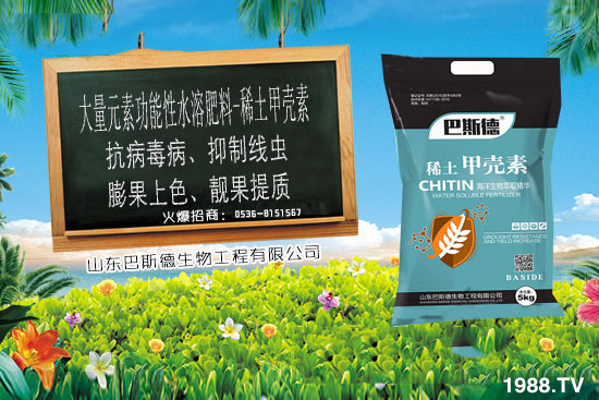 ϡ���ך�����ʲô����ϡ���ך������c����������ʲô������