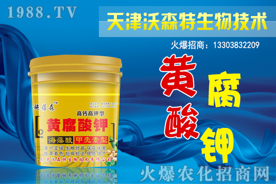 ���؃r(ji��)��