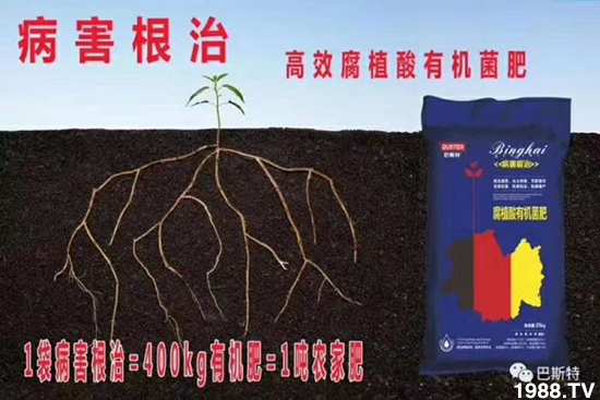     ���׌�Nֲ׃�ø��p����һ��(g��)�ײ���ȫ���䷽����˹�ش󽪠I(y��ng)�B(y��ng)�ײͷ�����