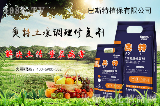     ���׌�Nֲ׃�ø��p����һ��(g��)�ײ���ȫ���䷽����˹�ش󽪠I(y��ng)�B(y��ng)�ײͷ�����