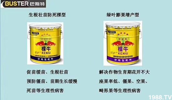     ���׌�Nֲ׃�ø��p����һ��(g��)�ײ���ȫ���䷽����˹�ش󽪠I(y��ng)�B(y��ng)�ײͷ�����